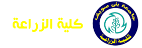 كلية